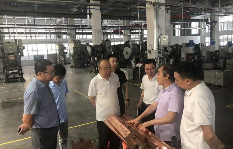 Intercambio de expertos| Han Xigen, subdirector del Instituto de Investigación de Distribución de Energía del Instituto de Investigación de Energía Eléctrica de China, visitó nuestra empresa