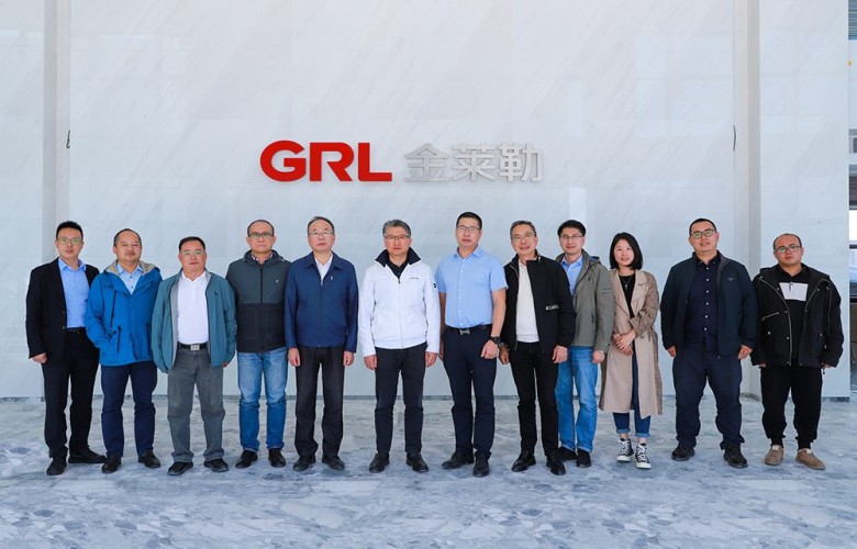 Información GRL| ¡Damos una cálida bienvenida a Yin Tianwen y su partido del Instituto de Ciencias Eléctricas de Shanghai para visitar nuestra empresa para visitar y guiar el trabajo!