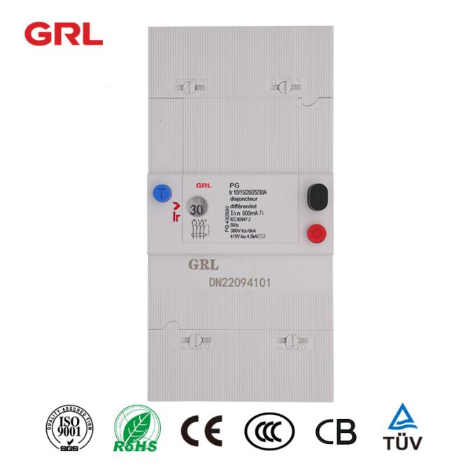 Branch Molded Case Circuit Breakers 2P 4P 500mA