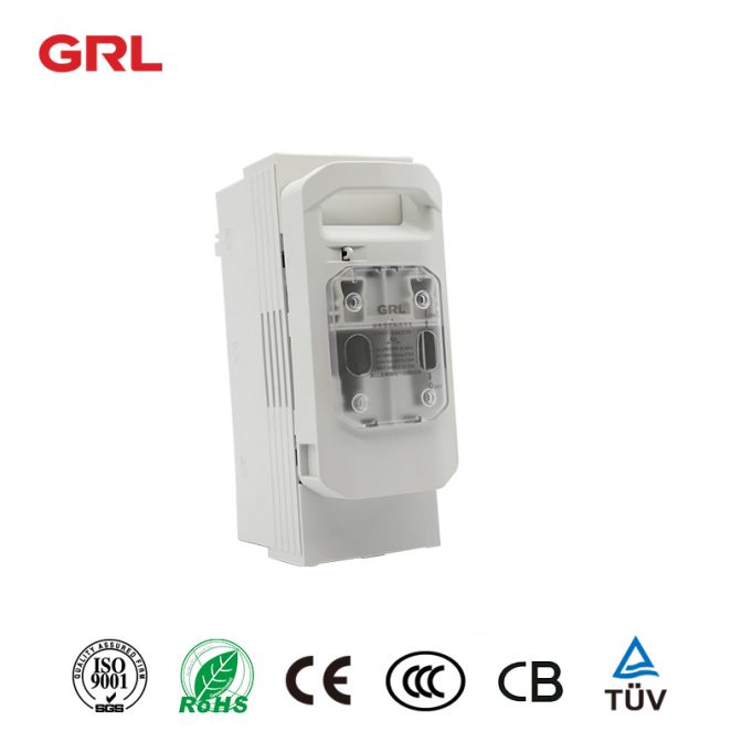 DNH1-160/21G interruptor 2P fusionado